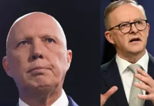 Albanese & Dutton.