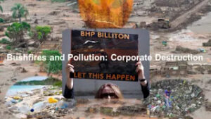 Corporate Environmental Harm in Australia.