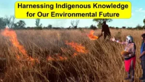 Harnessing Indigenous Knowledge for Our Environmental Future