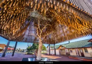 The Tree of Knowledge Barcaldine QLD